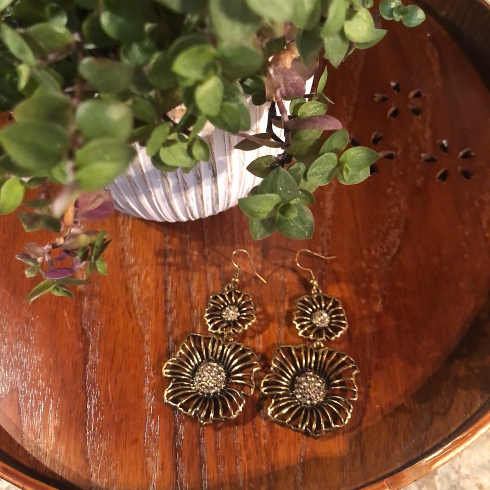 Statement Dangling Earrings